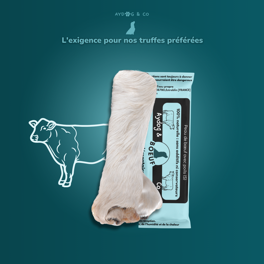 Peau de bœuf avec poils (S) - Friandises pour chien