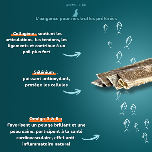 Peau de cabillaud - Friandises pour chien