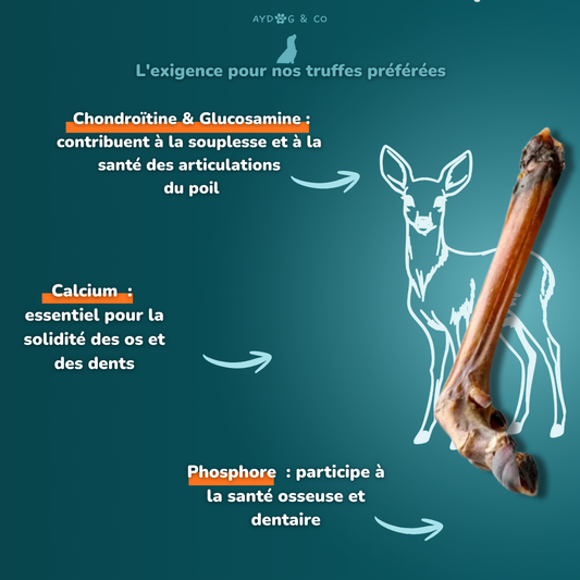 Patte de chevreuil (Avec ou sans poils) - Friandises pour chien