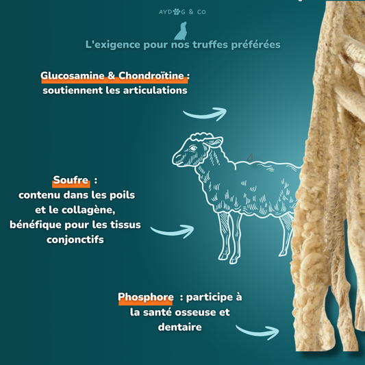 Peau d'agneau avec poils - friandises pour chien