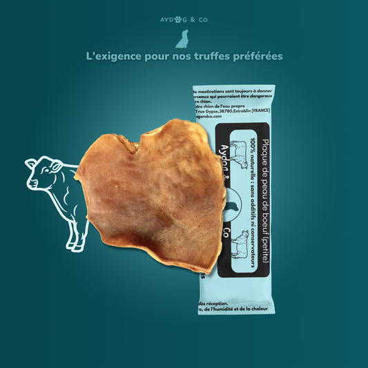 Plaque de peau de bœuf XL (Avec/sans poils) - Friandises pour chien