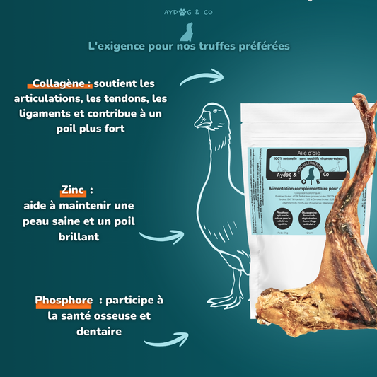 Aile d'oie- Friandises pour chien