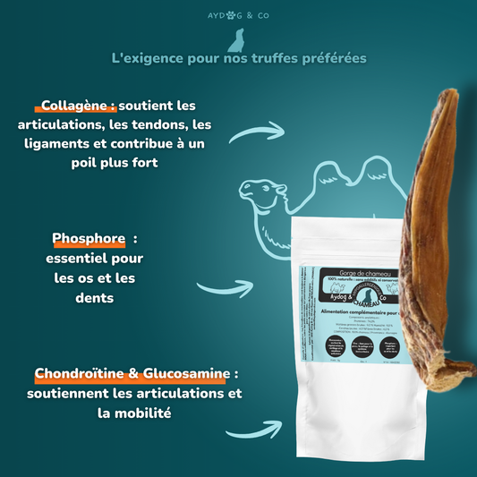 Gorge de chameau - Friandises pour chien
