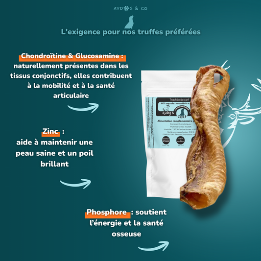 Trachée de cerf - friandises pour chien