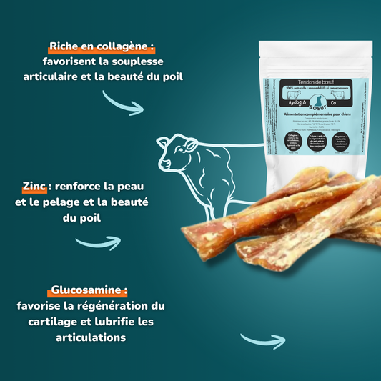 Tendon de bœuf - Friandises pour chien