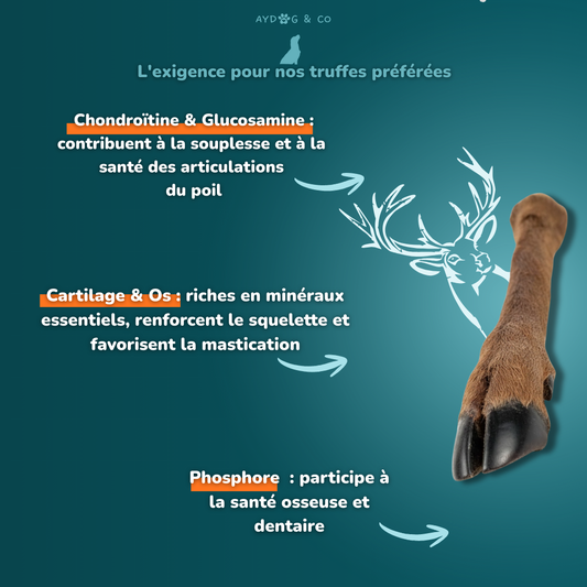 Patte de cerf avec poils - Friandises pour chien