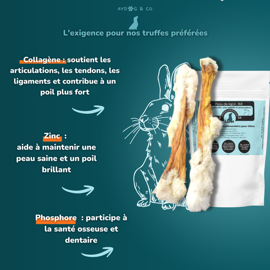 Peau de lapin avec poils - friandises pour chien