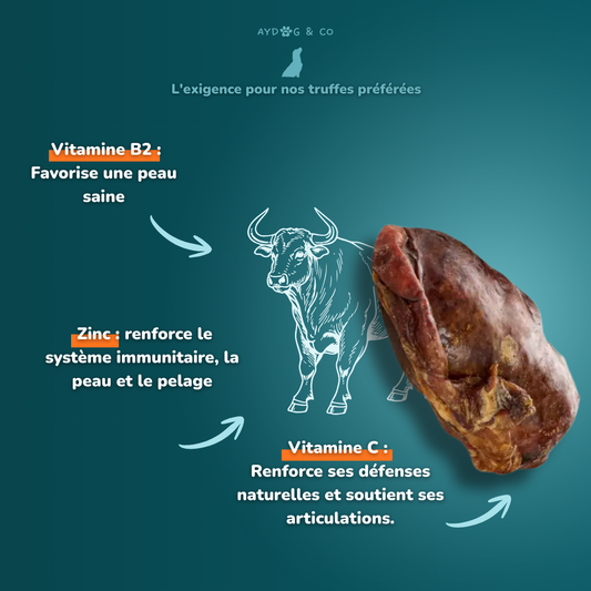 Testicule de taureau - Friandises pour chien