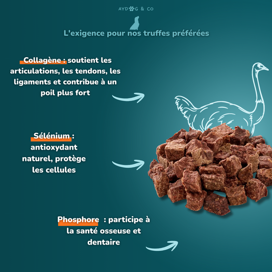 Cubes d'autruche 50g - Friandises pour chien
