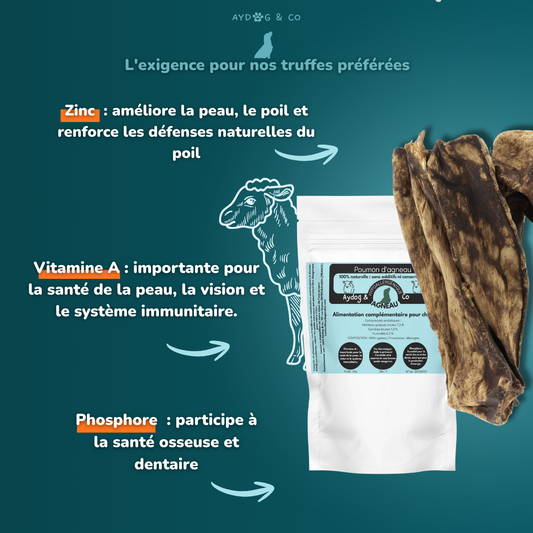 Poumon d'agneau - friandises pour chien