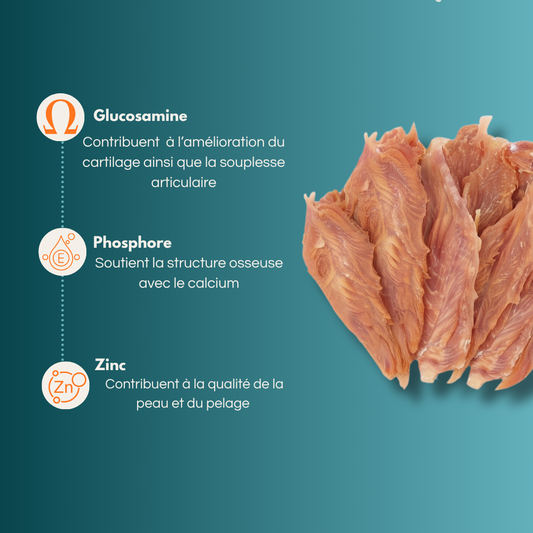 Filet de canard - Friandises pour chien