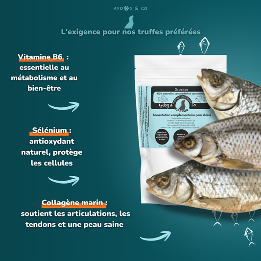 Gardon - Friandises pour chien