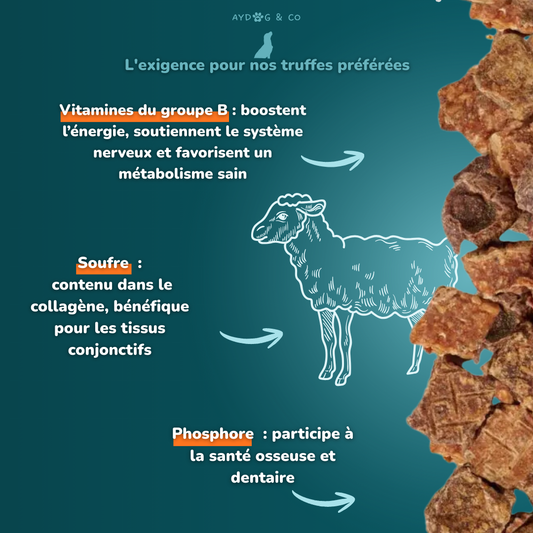 Poumon d'agneau en cubes - friandises pour chien