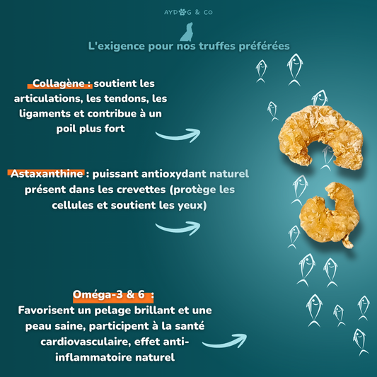 Crevettes - friandises pour chien
