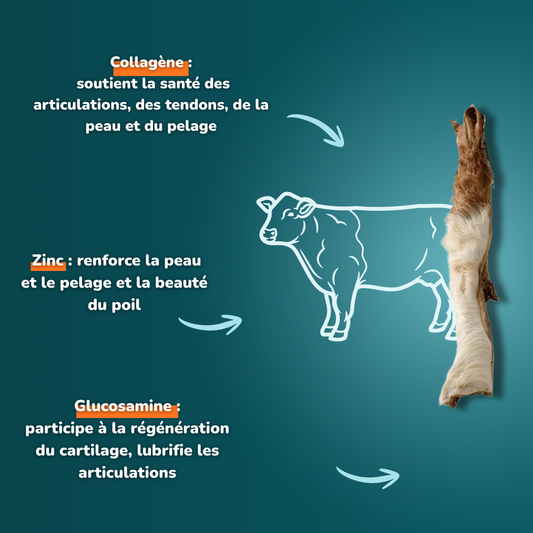 Peau de bœuf avec poils (longue) - Friandises pour chien