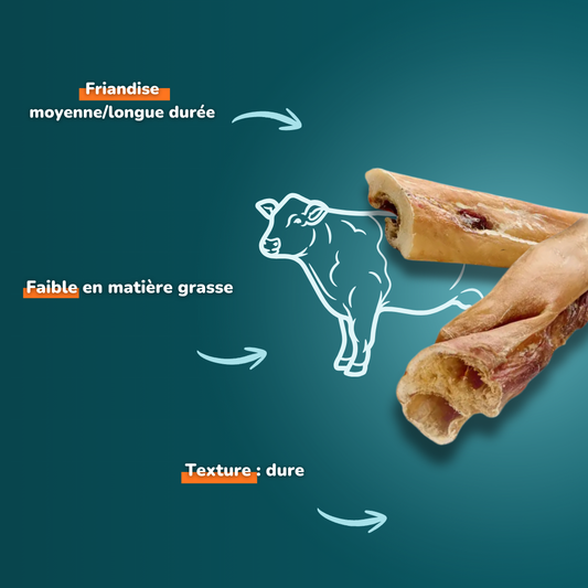 Cuir chevelu de bœuf court - Friandises pour chien