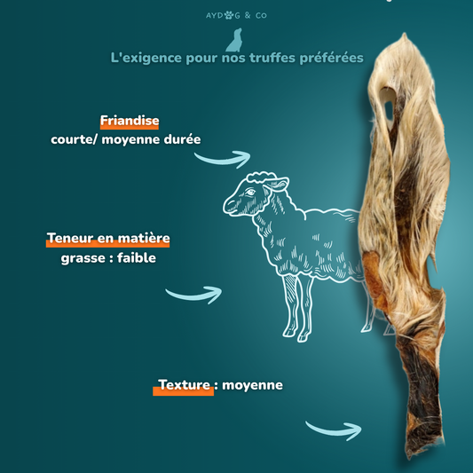 Oreilles d'agneau avec poils - Friandises pour chien