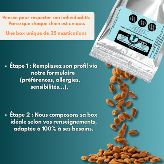 Box personnalisée de friandises et mastications naturelles