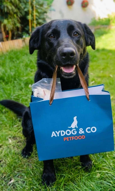 Pack découverte personnalisé - Friandises & mastication pour chien