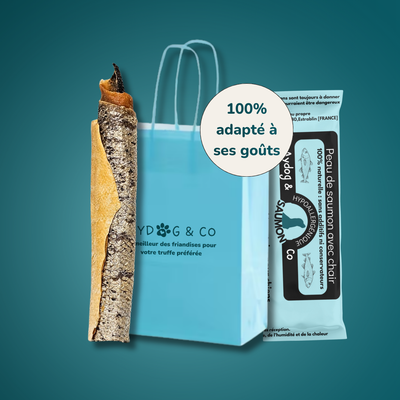 Discovery Pack - Dog Treats