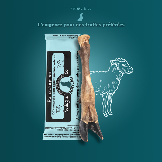 Patte d'agneau- friandises pour chien