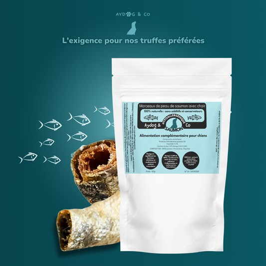 Morceaux de peaux de saumon avec chair  - Friandises pour chien