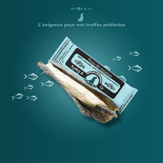 Peau de saumon - Friandises pour chien