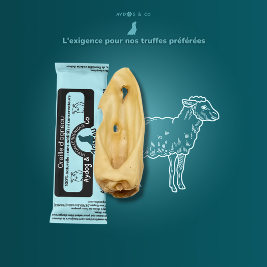 Oreilles d'agneau sans poils - Friandises pour chien
