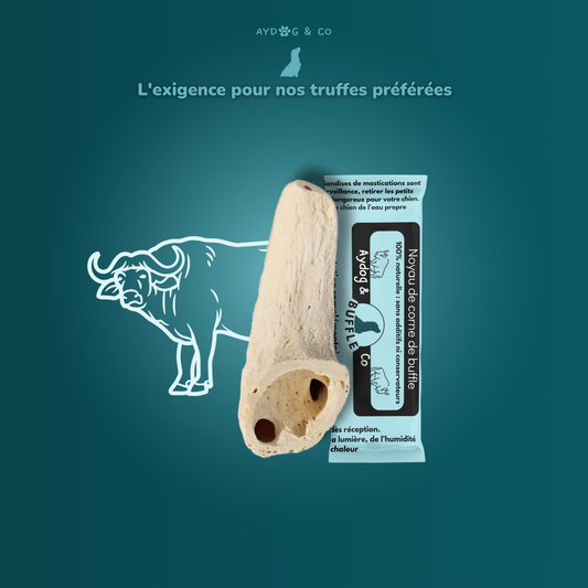 Noyau de corne de buffle