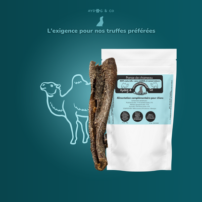 Camel stomach - Dog treats