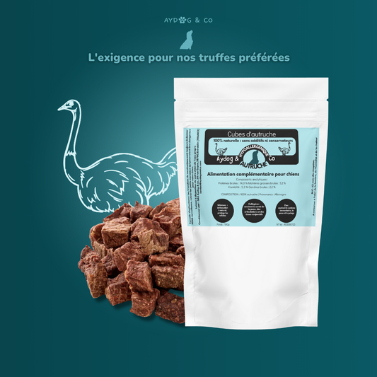 Cubes d'autruche 50g  - Friandises pour chien