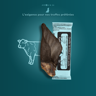 Oreille de boeuf avec poils - Friandises pour chien