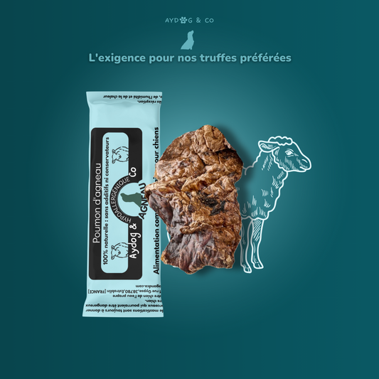 Poumon d'agneau - friandises pour chien