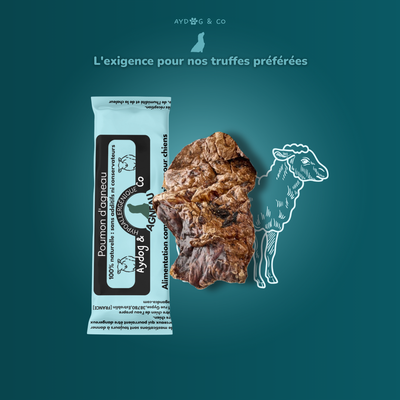 Lamb lung - dog treats