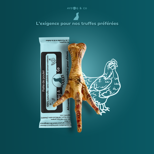 Patte de poulet - Friandises pour chien