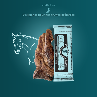 Poumon de cheval - friandises pour chien