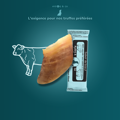 Sabot de bœuf - Friandises pour chien