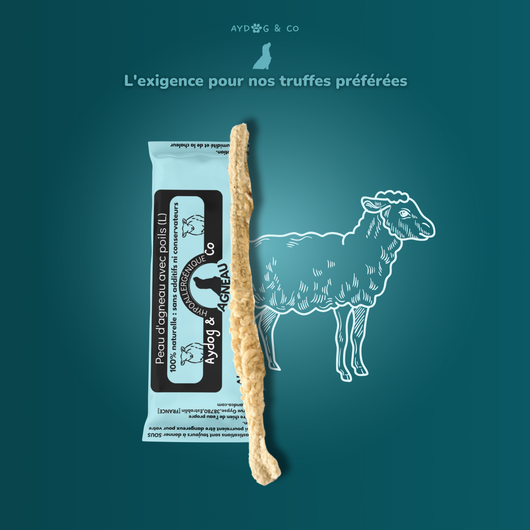 Lambskin with hair - dog treats