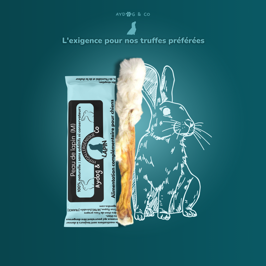 Peau de lapin avec poils - friandises pour chien