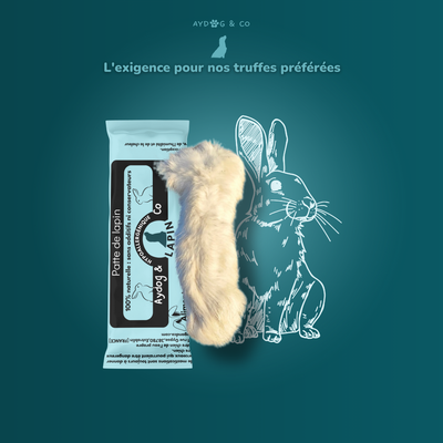 Patte de lapin avec poils - Friandises pour chien