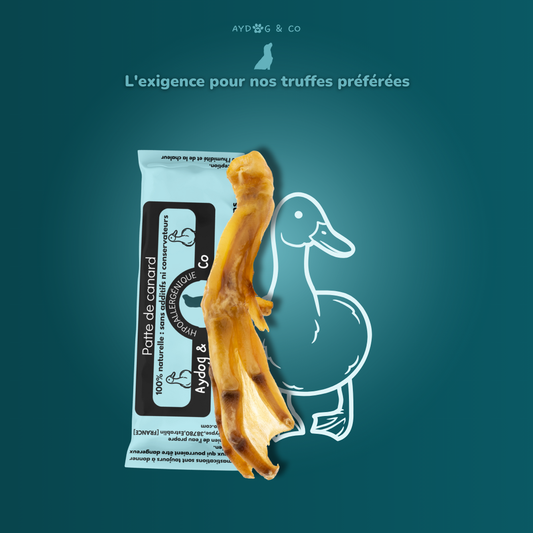 Patte de canard - Friandises pour chien