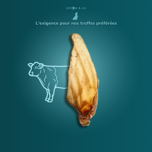 Beef ear - Dog treats