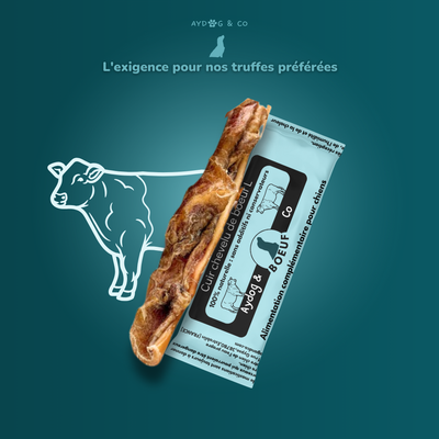Cuir chevelu de bœuf long - Friandises pour chien