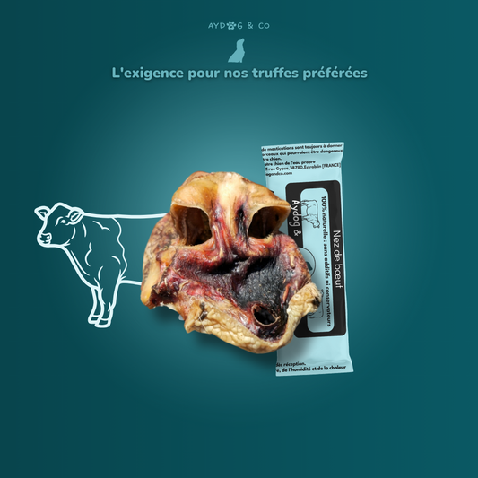 Nez de bœuf - Friandises pour chien