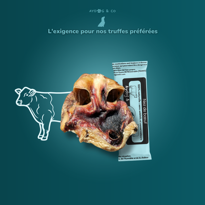 Nez de bœuf - Friandises pour chien