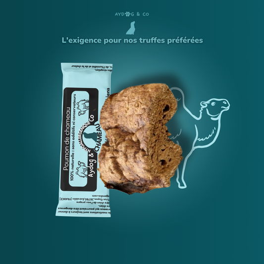 Poumon de chameau - Friandises pour chien