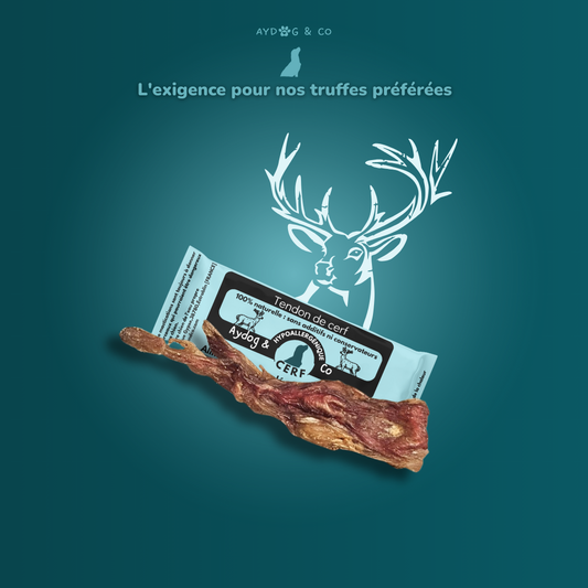 Tendon de cerf - friandises pour chien