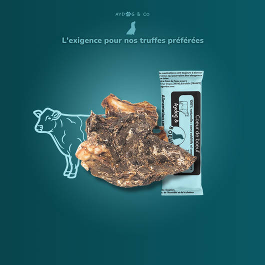Coeur de boeuf - Friandises pour chien