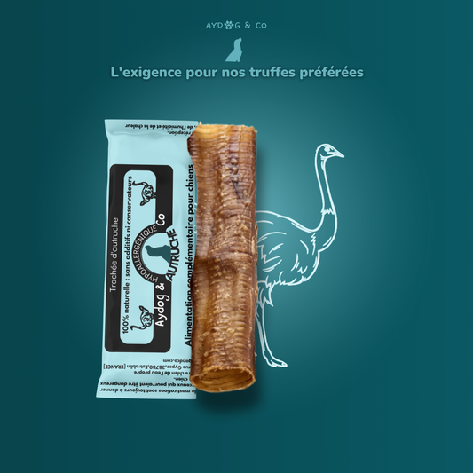 Trachée d'autruche - Friandises pour chien
