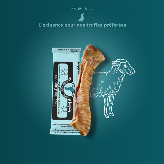 Trachée d'agneau - Friandises pour chien